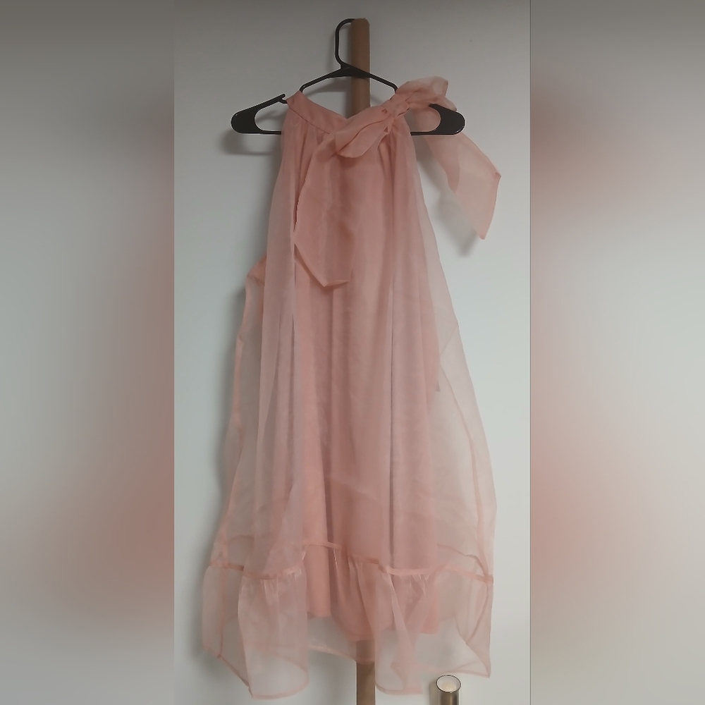 NWT Elegant Blush Pink Dress